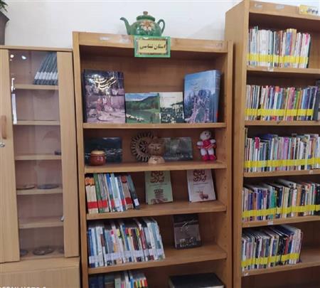 استان شناسی